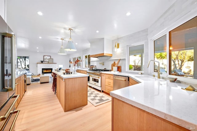 kitchen featuring a wealth of natural light, high quality appliances, custom exhaust hood, and a sink