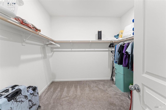 walk in closet with carpet