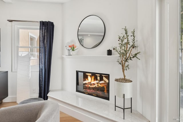 details with wood finished floors and a glass covered fireplace