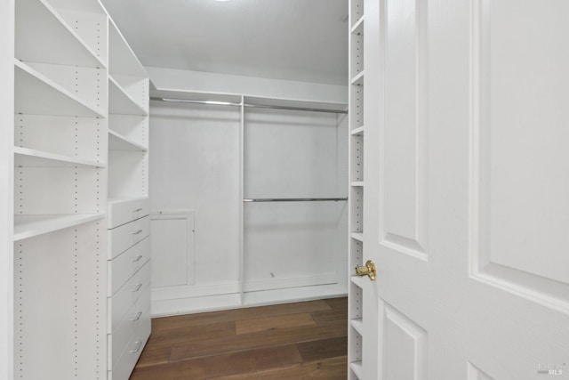 spacious closet featuring dark wood-style flooring