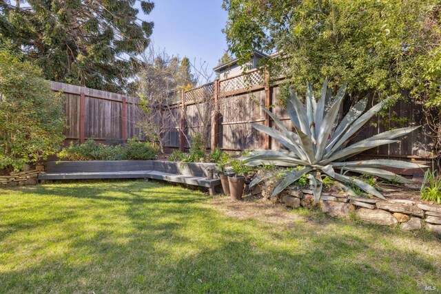 1211 Grand Ave, San Rafael, CA 94901 - view of yard
