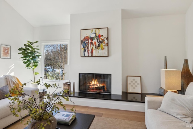 1211 Grand Ave, San Rafael, CA 94901 - living room featuring wood finished floors and a glass covered fireplace