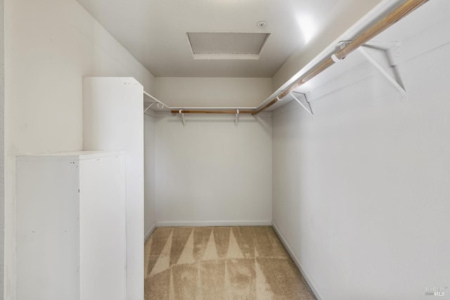 spacious closet featuring attic access and light carpet