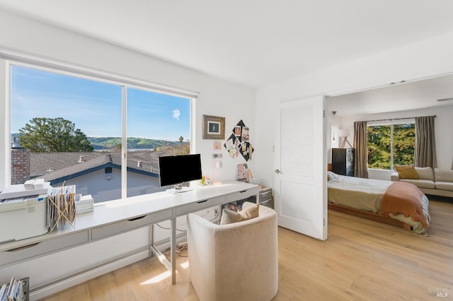 office space featuring light wood-style floors