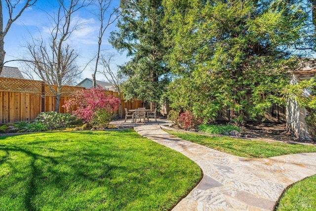 view of yard featuring a fenced backyard and a patio