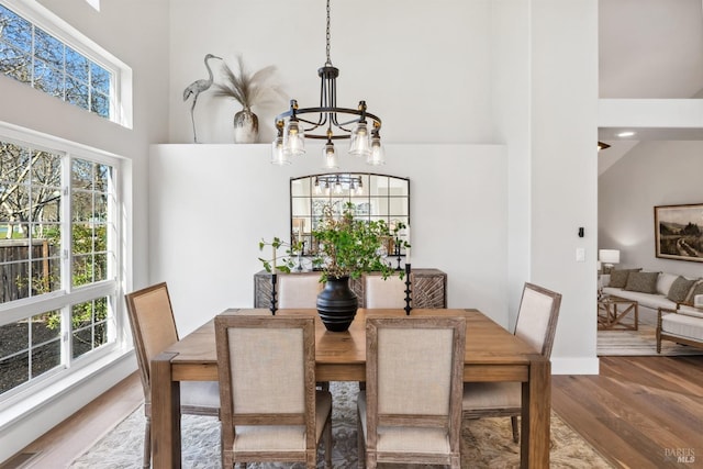 dining space with an inviting chandelier, a healthy amount of sunlight, a high ceiling, and wood finished floors