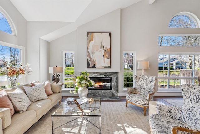 living room with high vaulted ceiling, a fireplace, and wood finished floors