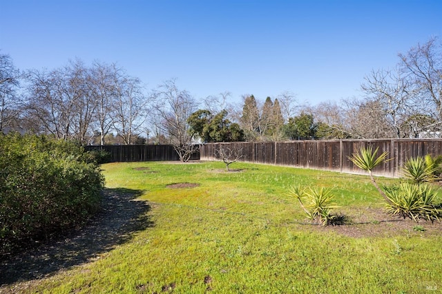 view of yard with a fenced backyard