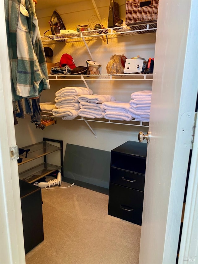 walk in closet featuring carpet floors