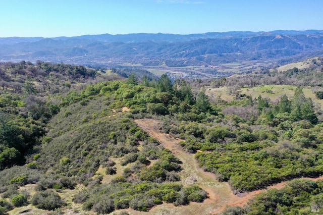 bird's eye view with a mountain view and a forest view