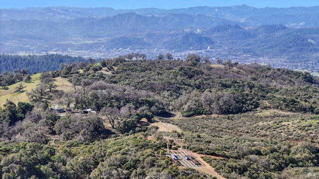 drone / aerial view featuring a mountain view and a view of trees