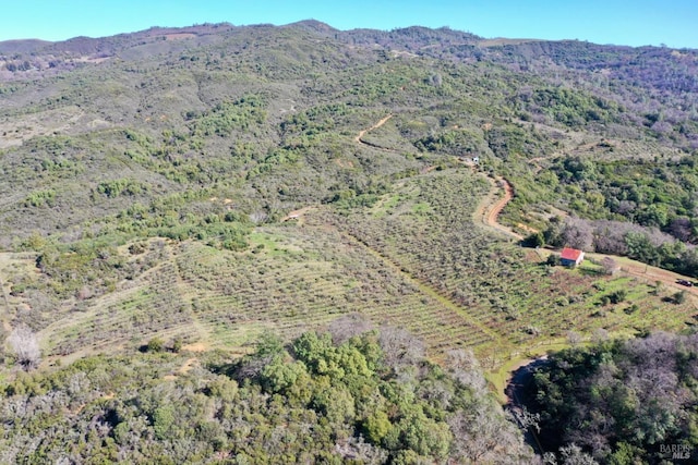 aerial view featuring a mountain view and a view of trees