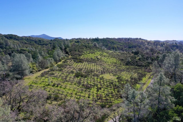 drone / aerial view with a mountain view and a view of trees