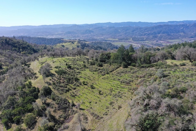 property view of mountains featuring a view of trees