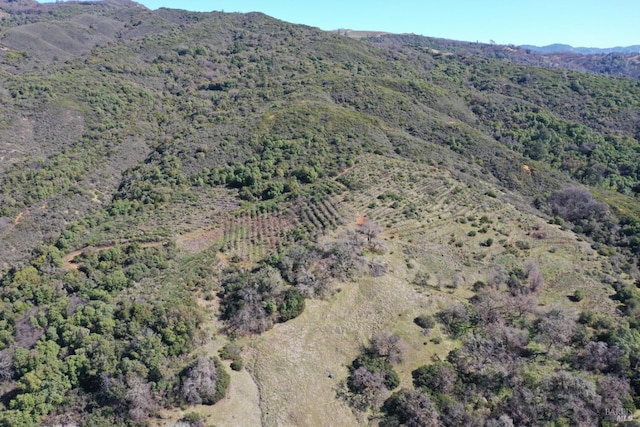 aerial view with a mountain view