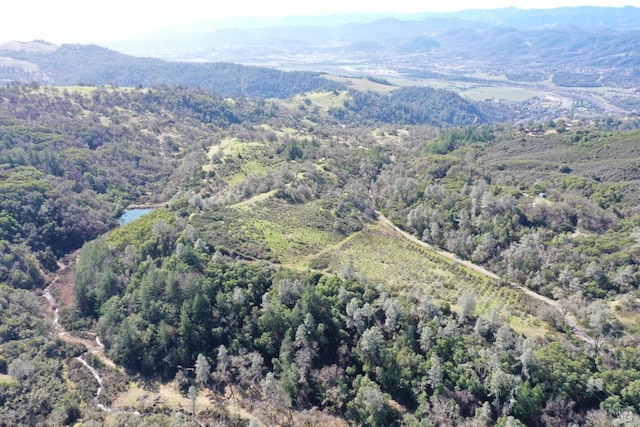 drone / aerial view featuring a mountain view and a wooded view