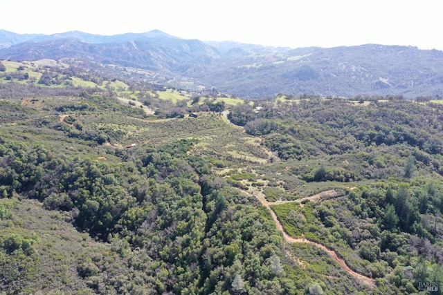 property view of mountains with a view of trees