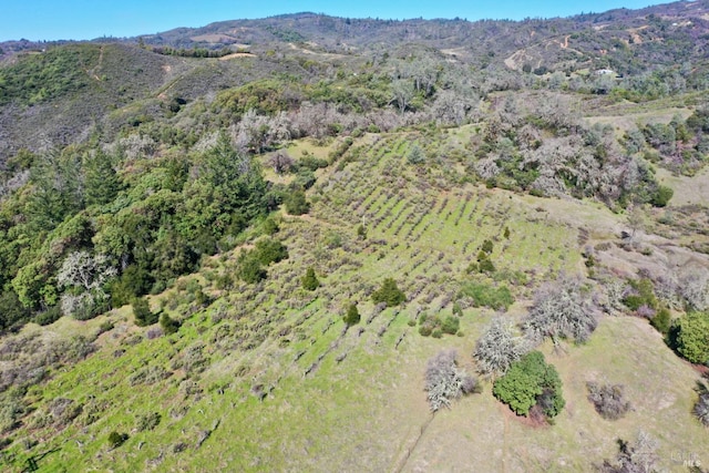 aerial view featuring a mountain view