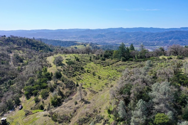 drone / aerial view featuring a forest view and a mountain view