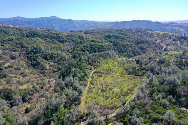 birds eye view of property featuring a mountain view and a view of trees