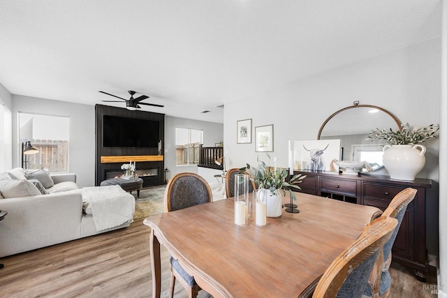 dining room featuring a large fireplace, wood finished floors, and ceiling fan