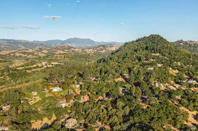 bird's eye view with a forest view and a mountain view