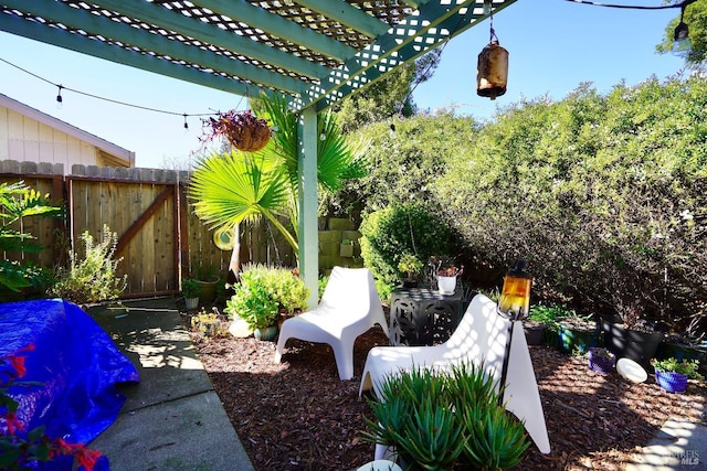 view of yard featuring a patio and a fenced backyard