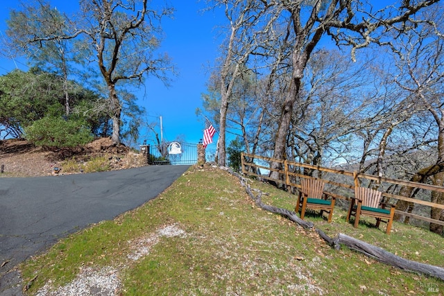 view of road with driveway, a gated entry, and a gate