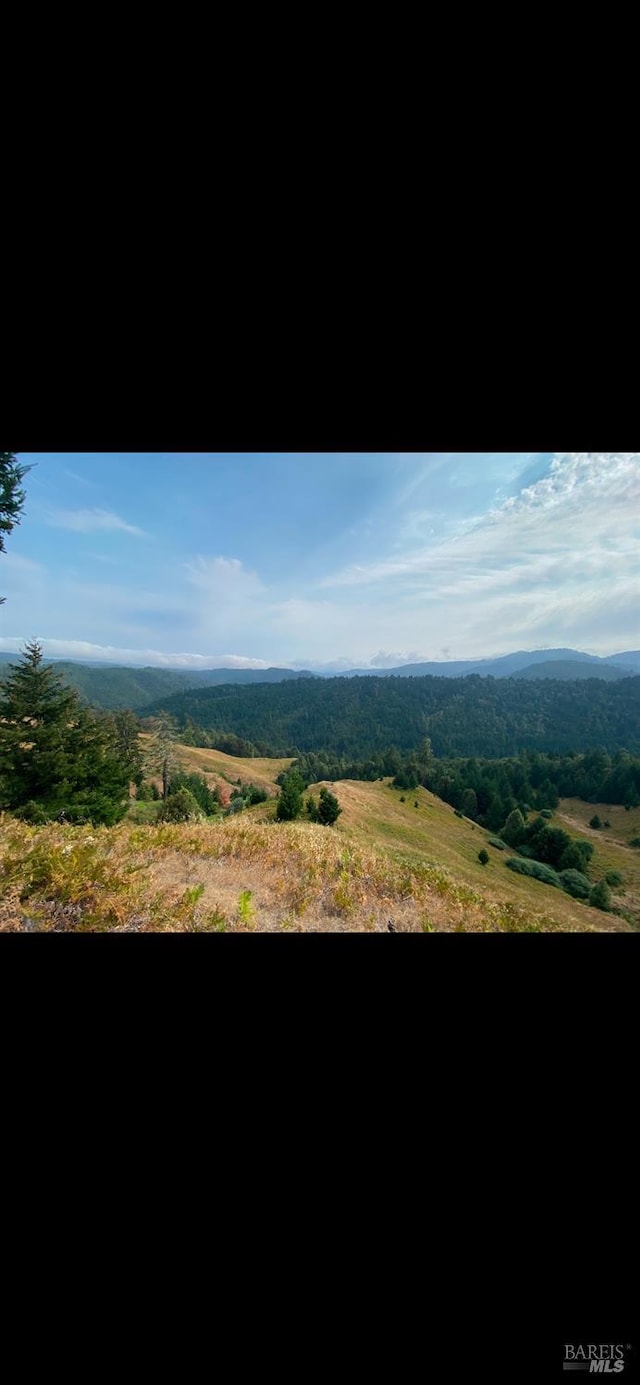 1701 Etter Ranch Rd, Garberville CA, 95542 land for sale