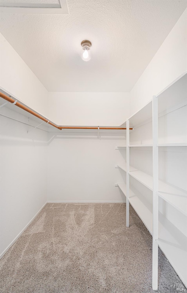 spacious closet with carpet floors