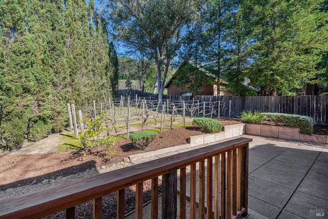 view of yard with a patio area and a fenced backyard