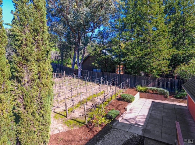 view of yard with a fenced backyard and a patio