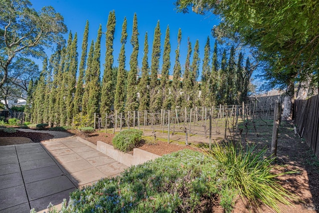 view of yard with a patio area and fence