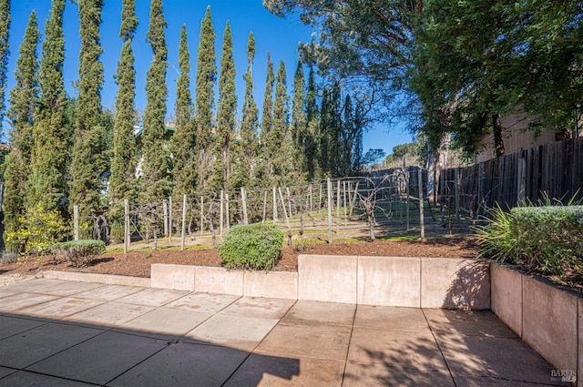 view of patio featuring fence and a vegetable garden