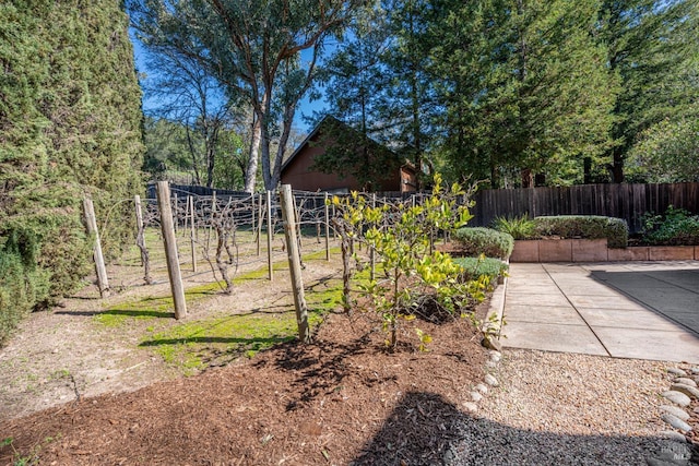 view of yard featuring a patio area and fence