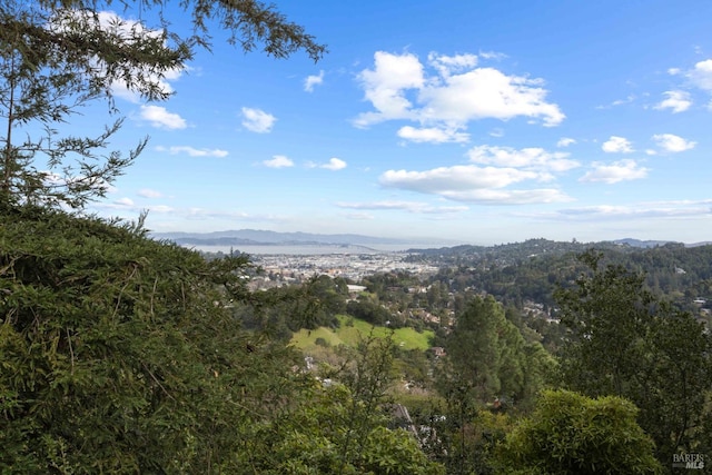 550 Sequoia Dr, San Anselmo, CA 94960 - view of mountain feature with a wooded view