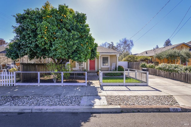 view of property hidden behind natural elements with a fenced front yard and a gate