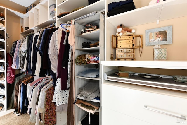 spacious closet with carpet flooring