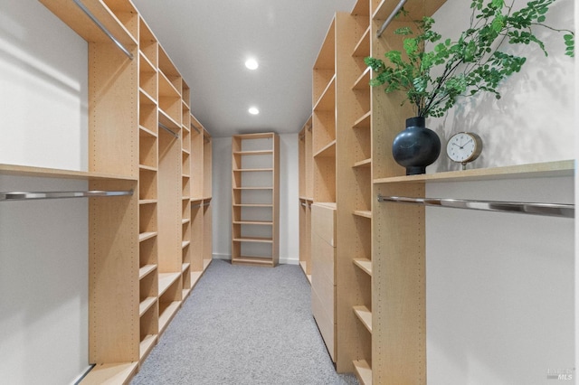 spacious closet featuring carpet flooring