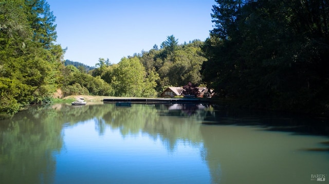 water view with a forest view