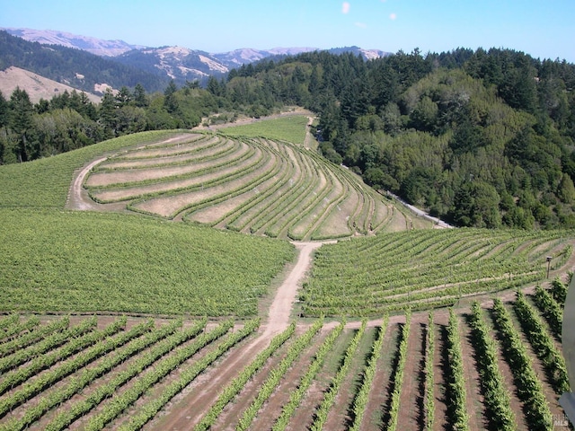 aerial view featuring a rural view and a mountain view