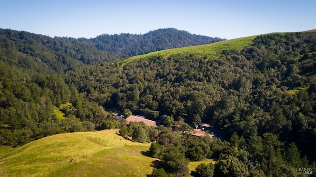 drone / aerial view with a wooded view and a mountain view