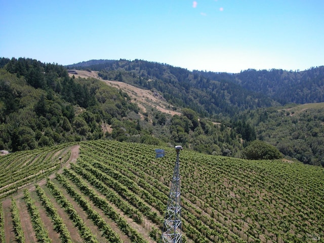 view of mountain feature featuring a rural view and a wooded view