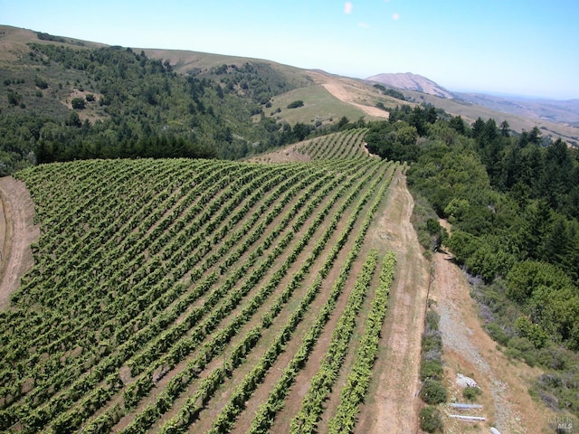 birds eye view of property featuring a mountain view and a rural view