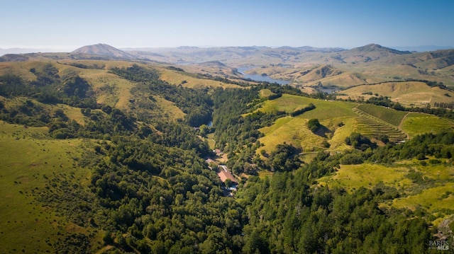 mountain view with a forest view