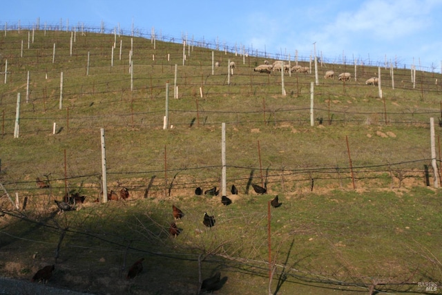 view of yard featuring a rural view and fence