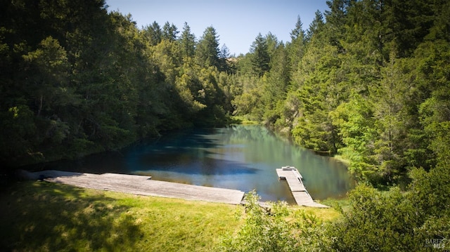 property view of water featuring a boat dock and a wooded view