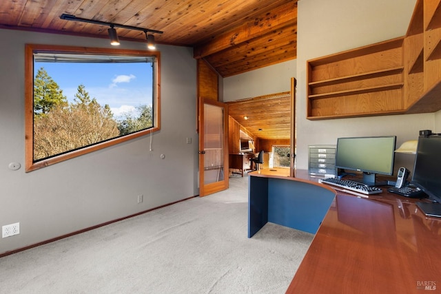 office featuring light carpet, wooden ceiling, a wealth of natural light, and track lighting