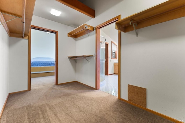 walk in closet featuring carpet floors and beamed ceiling