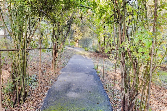 view of street with a wooded view